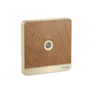 AvatarOn-1G TV Socket, 75Ω, Through-Connect, WD
