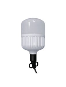 IP65 LED Bulb | 40W | White