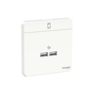 Avataron-2 Ports Max 2.1A Usb Charger, We
