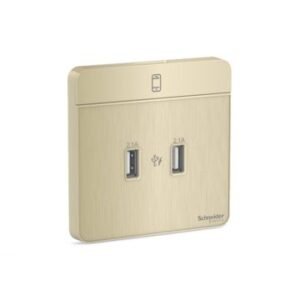 Avataron-2 X 2.1A Usb Charger, Gh