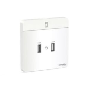 Avataron-2 X 2.1A Usb Charger, We